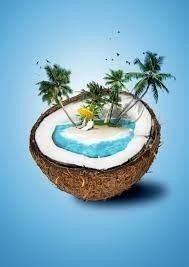 Ess P/ Vela Coconut Island - 100 ML