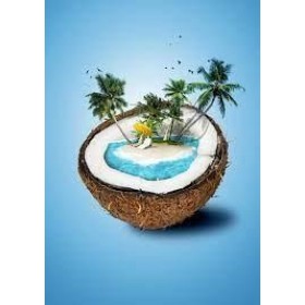 Ess P/ Vela Coconut Island - 100 ML