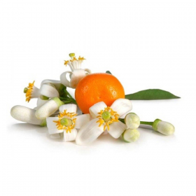 Ess P/ Vela Flor de Laranjeira e Cipreste - 100 ML